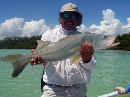 Ascension bay snook fly fishing